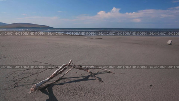 Восточно-Сибирское море. Чукотка. Стоковое видео, видеограф Сапрыгин Сергей / Фотобанк Лори