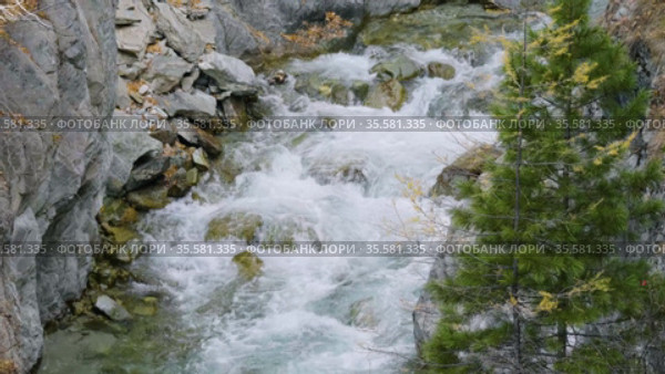Восточные Саяны осенью. Горная река Кынгарга. Eastern Sayans in autumn. Mountain river Kyngarga. Стоковое видео, видеограф Евгений Романов / Фотобанк Лори