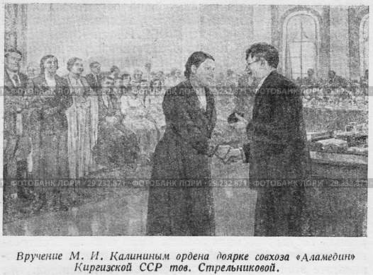 Вручение М.И. Калининым ордена доярке совхоза "Аламедин" Киргизской ССР товарищу Стрельниковой. Стоковая иллюстрация, иллюстратор Макаров Алексей / Фотобанк Лори