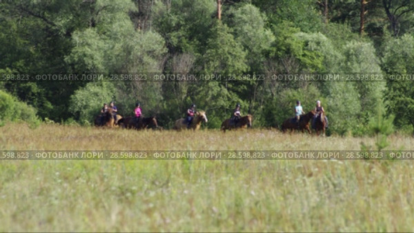 Всадники практикуют выездку лошадей в поле. Riders practice dressage horse in the field. Стоковое видео, видеограф Евгений Романов / Фотобанк Лори