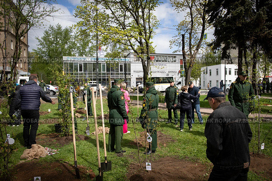 Высадка деревьев на «Аллее Памяти» в Балашихе в честь павших в зоне СВО участников. Редакционное фото, фотограф Дмитрий Неумоин / Фотобанк Лори