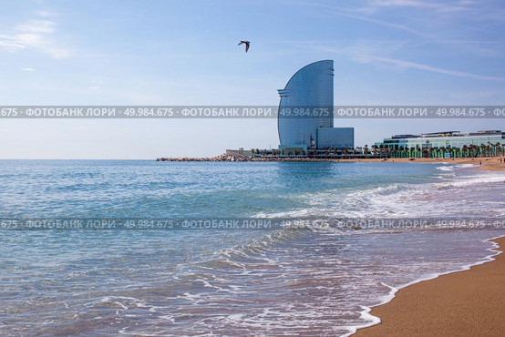 W Barcelona Hotel, in Barceloneta beach, in Spain. W Barcelona Hotel, in Barceloneta beach. Стоковое фото, агентство Ingram Publishing / Фотобанк Лори
