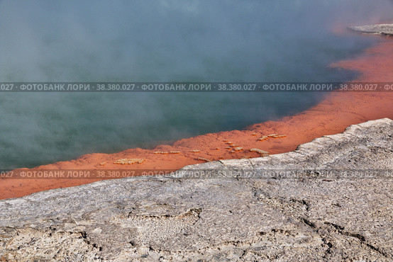Wai-o-tapu geothermal Park, Rotorua, New Zealand. Стоковое фото, фотограф Сергей Стрелков / Фотобанк Лори