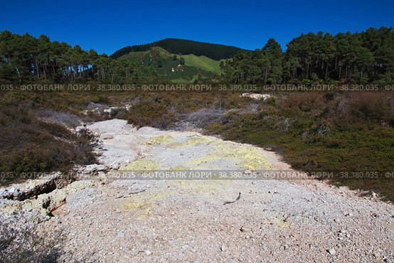 Wai-o-tapu geothermal Park, Rotorua, New Zealand. Стоковое фото, фотограф Сергей Стрелков / Фотобанк Лори