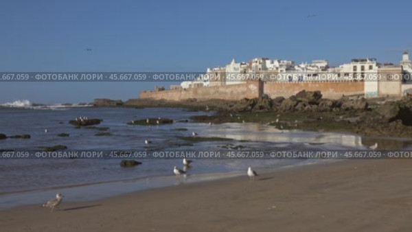 Walled city of Essaouira in Morocco and seagulls (2018 год). Стоковое видео, видеограф Михаил Коханчиков / Фотобанк Лори