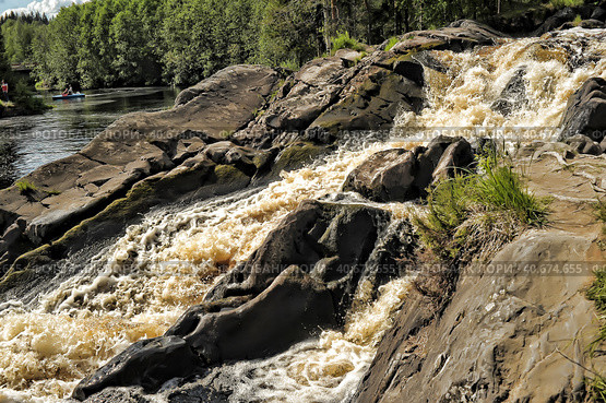 Waterfall Kivach in Kareliya - the second largest, after the Rhine, plain waterfall in Europe. Стоковое фото, фотограф Анна Кривицкая / Фотобанк Лори