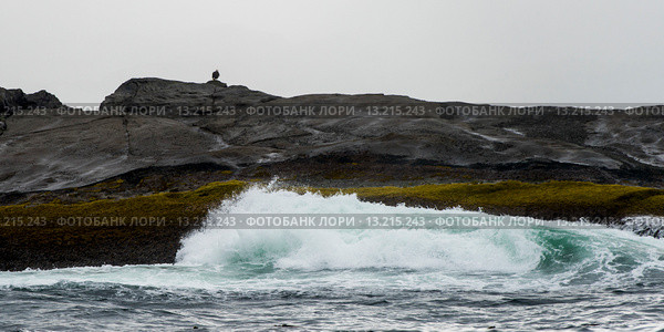 Waves breaking on the coast, Skeena-Queen Charlotte Regional District, Haida Gwaii, Graham Island, British Columbia, Canada. Стоковое фото, фотограф Keith Levit / Ingram Publishing / Фотобанк Лори