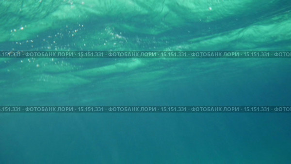 Wavy Sea Surface Underwater. Стоковое видео, видеограф Данил Руденко / Фотобанк Лори