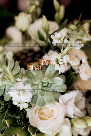 wedding rings with a wedding decor. Стоковое фото, агентство Ingram Publishing / Фотобанк Лори