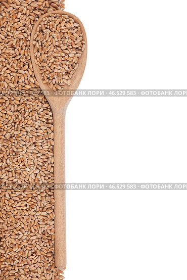 Wheat with a wooden spoon. Стоковое фото, фотограф Александр Собко / Фотобанк Лори