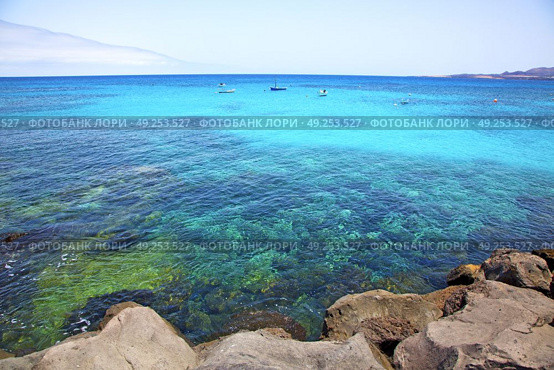 white coast lanzarote  in spain   beach  stone water  and summer . Стоковое фото, агентство Ingram Publishing / Фотобанк Лори