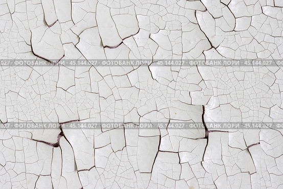 White peeling paint on the wall. Old concrete wall with cracked flaking paint. Weathered rough painted surface with patterns of cracks and peeling. High resolution texture for background and design. Стоковое фото, фотограф Андрей Степанов / Фотобанк Лори