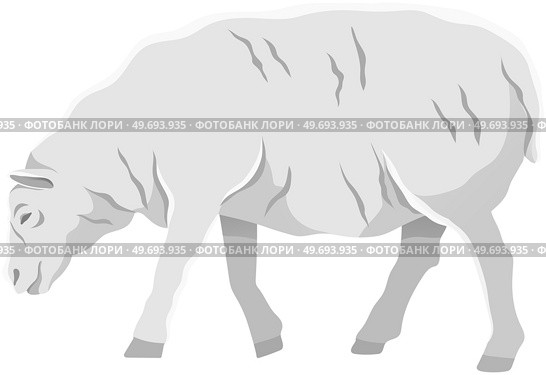 White ship, domestic farm animal. Lamb with wool, ruminant mammal vector illustration. Farming, animal husbandry and livestock breeding. Domesticated farm sheep for meat and wool production. White ship, domestic farm animal for meat and wool production. Farming and livestock breeding. Стоковая иллюстрация, агентство Ingram Publishing / Фотобанк Лори