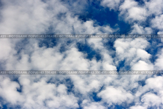 White spindrift clouds on blue sky, background. Стоковое фото, фотограф Радомир Тарасов / Фотобанк Лори