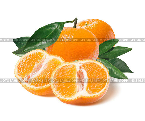 Whole mandarin and one cut half isolated on white. Стоковое фото, фотограф Катерина Ковалева / Фотобанк Лори