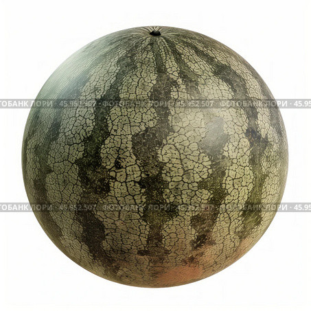Whole watermelon rotating in white background showing rind texture. Стоковое AI-изображение, AI-художник Иван Рябоконь / Фотобанк Лори