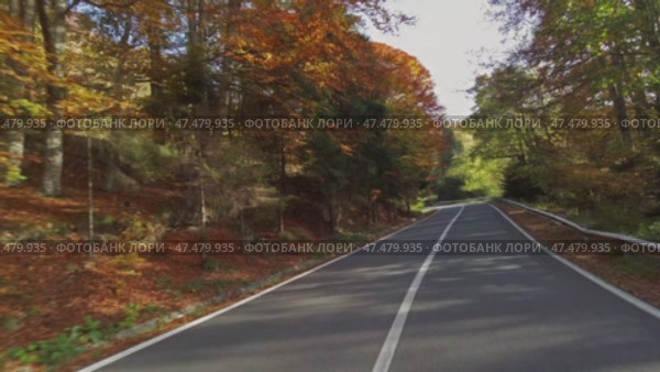 Winding road through autumn forest. Стоковое видео, видеограф Михаил Коханчиков / Фотобанк Лори
