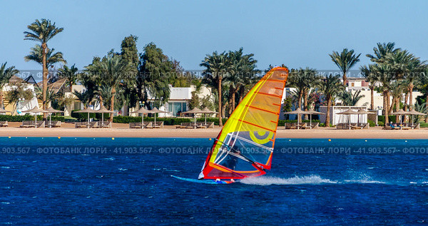 windsurfing in the blue water on the background of the beach with umbrellas and palm trees in Egypt Dahab South Sinai. Стоковое фото, фотограф Артем Курутин / Фотобанк Лори