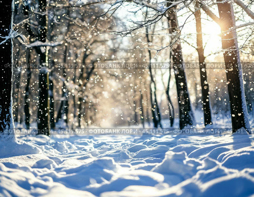 Winter frosty morning after snowfall. Winter landscape. Стоковое AI-изображение, AI-художник Сергей Елизарьев / Фотобанк Лори