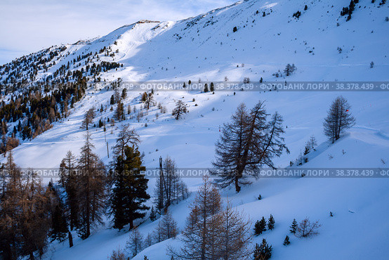 Winter in the Alps. Стоковое фото, фотограф Юлия Бабкина / Фотобанк Лори