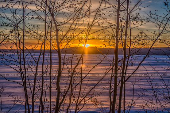 Winter sunset through the thin branches of leafless trees. The sun is setting below the horizon, painting the sky in soft golden-orange hues. In the background is a frozen lake with thin stripes of snow and ice. The foreground is filled with an elegant pattern of branches, as if framing this calm and bright farewell to the day. The frame is filled with silence, transparency of air and a sense of peace. Стоковое фото, фотограф Анна Кривицкая / Фотобанк Лори