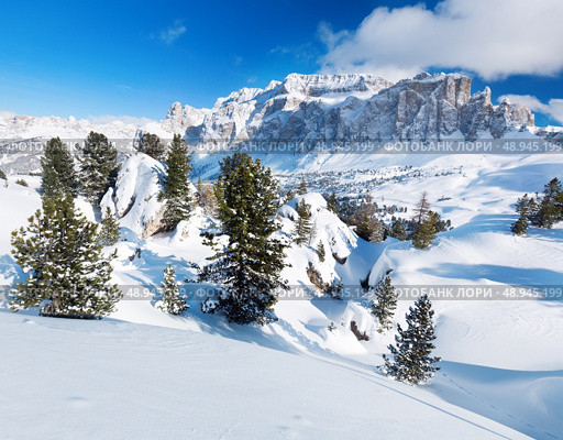 Winter trees in alp mountains. Стоковое фото, агентство Ingram Publishing / Фотобанк Лори