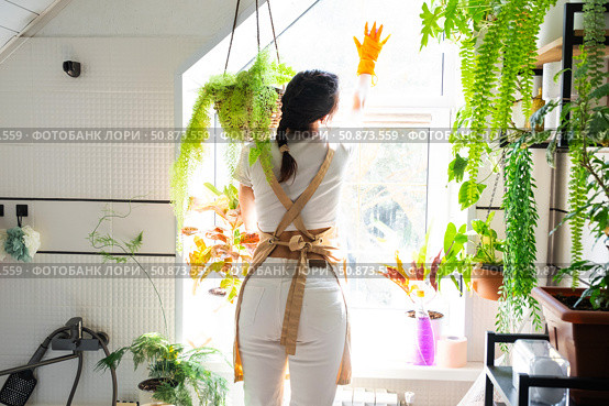 Woman in rubber gloves and apron manually washes window of house in bathroom with rag cleaner and mop inside interior with home plants. Restoring order and cleanliness, cleaning servise. Стоковое фото, фотограф Ольга Симонова / Фотобанк Лори