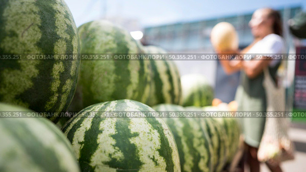 woman looking fresh watermelon with copy space. Стоковое фото, агентство Ingram Publishing / Фотобанк Лори