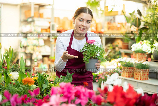 Woman seller holding ranunculus asiatica in flower shop. Стоковое фото, фотограф Яков Филимонов / Фотобанк Лори