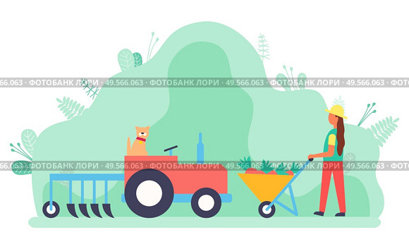 Woman working on field vector, lady with carriage and carrots. Tractor used in agriculture, rancher busy with agricultural job. Machinery for farm. Flat cartoon. Harvesting Woman with Carriage Filled with Carrots. Стоковая иллюстрация, агентство Ingram Publishing / Фотобанк Лори