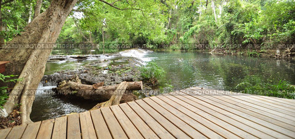 Wood boards along the streams, forest filed. Стоковое фото, агентство Ingram Publishing / Фотобанк Лори