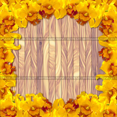 Yellow orchid on wood plank background. Стоковое фото, фотограф Phongkit Longthong / PantherMedia / Фотобанк Лори