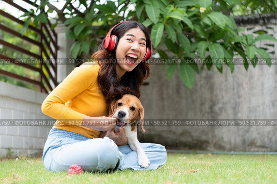Young asian woman and beagle puppy relaxing on weekends in the front yard. Стоковое фото, агентство Ingram Publishing / Фотобанк Лори