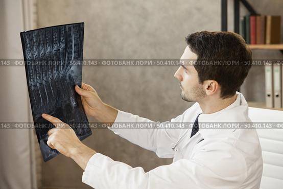 young doctor checking radiography. Стоковое фото, агентство Ingram Publishing / Фотобанк Лори