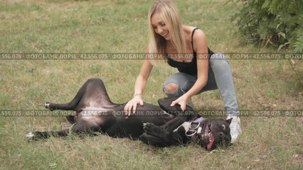 Young woman strokes the belly of a dog lying on a grassy lawn. Slow motion. Стоковое видео, видеограф EStarodubov / Фотобанк Лори