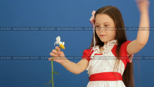 Загадать желание. Стоковое видео, видеограф Tatiana Kravchenko / Фотобанк Лори