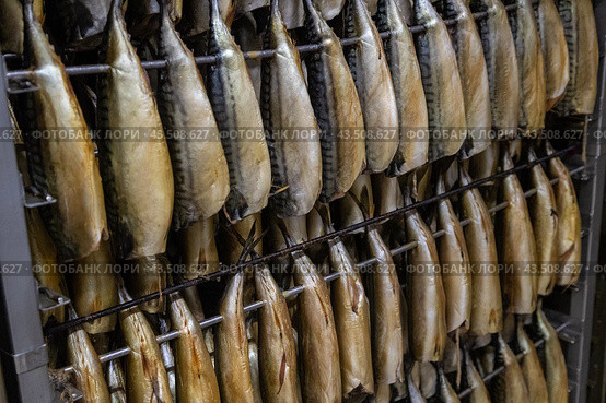 Заготовка рыбной продукции на рыболовецком судне в Баренцевом море. Стоковое фото, фотограф Николай Гернет / Фотобанк Лори