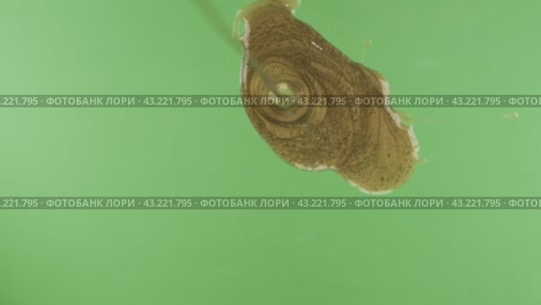 Замедленная съемка. Струя золотой краски падает на зеленый фон. Выделено на зеленом фоне. Slow motion. A jet of gold paint falls down on a green background. Isolated. Стоковое видео, видеограф Александр Собко / Фотобанк Лори