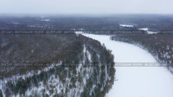Западная Сибирь: вид на зимнюю тайгу с воздуха. Western Siberia: a view of the winter taiga from the air. Стоковое видео, видеограф Евгений Романов / Фотобанк Лори