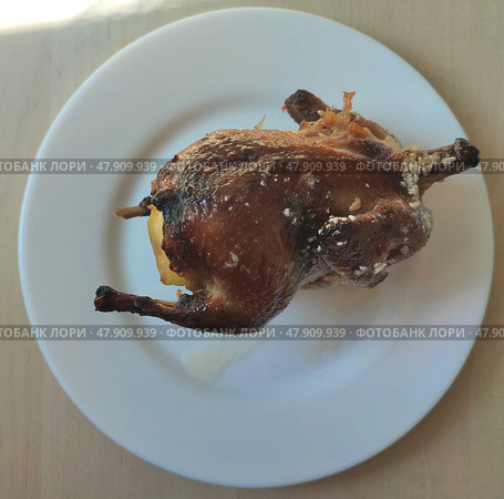 Запеченный перепел на белой тарелке с хрустящей корочкой. Baked quail on a white plate with a crispy crust. Стоковое фото, фотограф Денис Баданин / Фотобанк Лори