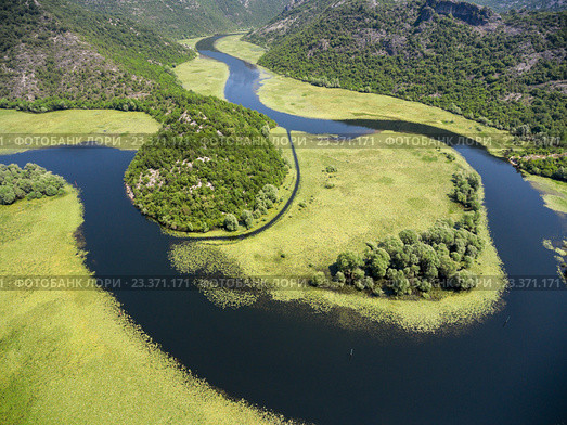Заросшее кувшинками русло реки Црноевича. Черногория (2016 год). Стоковое фото, фотограф Кекяляйнен Андрей / Фотобанк Лори