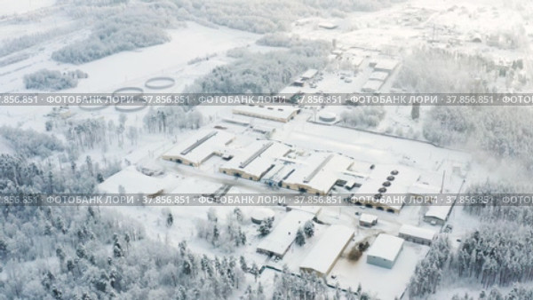 Животноводческая ферма зимой, коровники. Вид с воздуха. Cattle breeding farm in winter, сowsheds. Aerial view. Стоковое видео, видеограф Евгений Романов / Фотобанк Лори