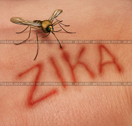 Zika disease concept as a virus risk symbol with a dangerous illness carrying mosquito forming text on human skin that represents the danger of transmitting infection through bug bites resulting in zika fever. Стоковое фото, агентство Ingram Publishing / Фотобанк Лори