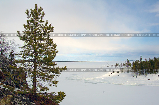Зима на Белом море. Стоковое фото, фотограф Некрасов Андрей / Фотобанк Лори