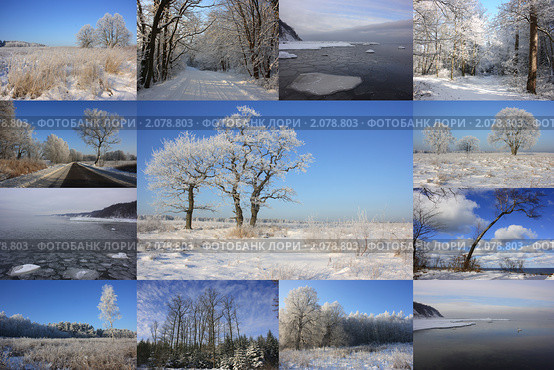 Зимний коллаж. Стоковое фото, фотограф Виктор Зандер / Фотобанк Лори