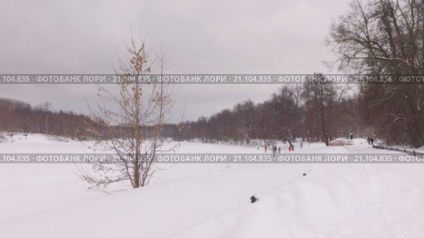 Зимний парк Кузьминки. Стоковое видео, видеограф Серёга / Фотобанк Лори