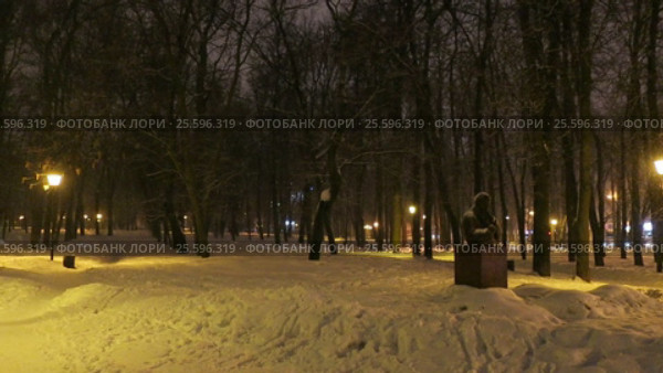 Зимний вечерний вид парка Кулибина в Нижнем Новгороде (2017 год). Стоковое видео, видеограф Елена Ковалева / Фотобанк Лори