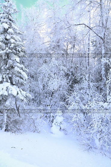 Зимняя сказка. Перевал Пыхта. Дыхание Байкала. (2021 год). Стоковое фото, фотограф Валерий Митяшов / Фотобанк Лори