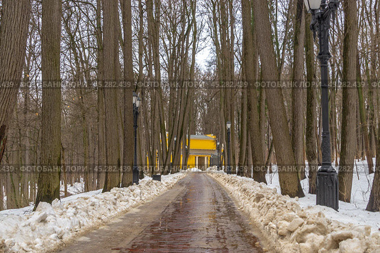 Зимой на дорожках городского парка образуются лужи от растаявшего снега. Заледеневшие дорожки для прогулок в зимнем парке. Зимой деревья стоят без листьев. Парк в Царицыно. Стоковое фото, фотограф Эдуард Белкин / Фотобанк Лори